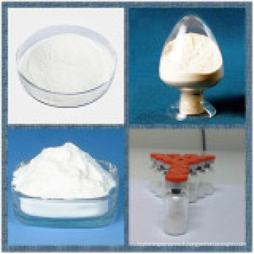 HCl d&#39;Articaïne de grande pureté CAS No: 23964-57-0 Chlorhydrate d&#39;Aarticaine